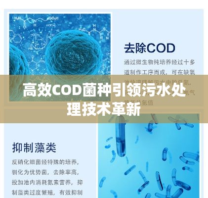 高效COD菌种引领污水处理技术革新