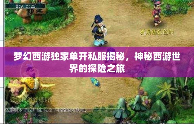 梦幻西游独家单开私服揭秘,神秘西游世界的探险之旅