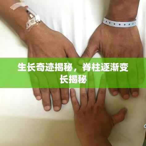 生长奇迹揭秘,脊柱逐渐变长揭秘