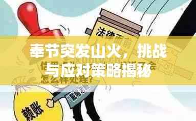 奉节突发山火,挑战与应对策略揭秘