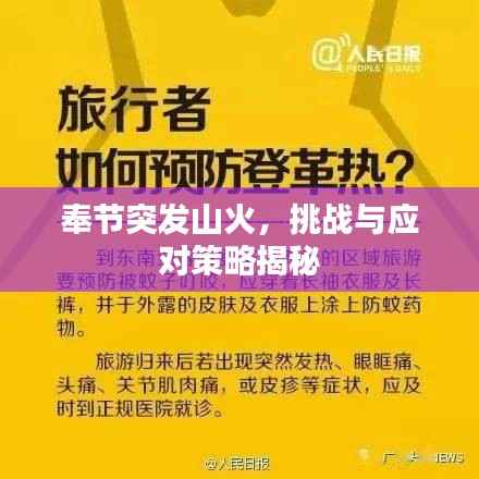 奉节突发山火,挑战与应对策略揭秘