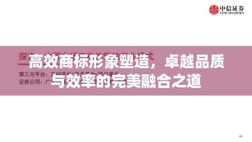 高效商标形象塑造，卓越品质与效率的完美融合之道