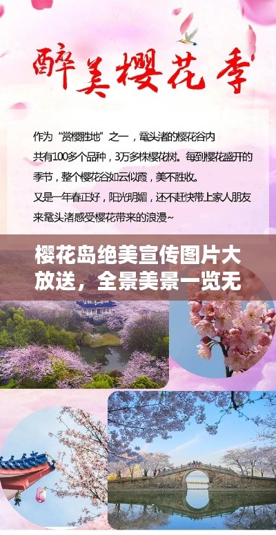 樱花岛绝美宣传图片大放送,全景美景一览无余