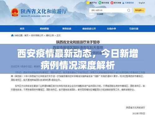 西安疫情最新动态，今日新增病例情况深度解析