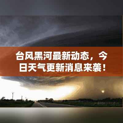 台风黑河最新动态，今日天气更新消息来袭！