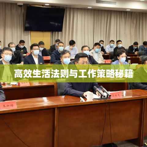 高效生活法则与工作策略秘籍