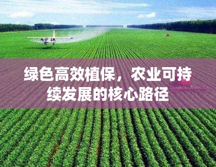 绿色高效植保，农业可持续发展的核心路径