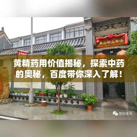 黄精药用价值揭秘,探索中药的奥秘,百度带你深入了解!