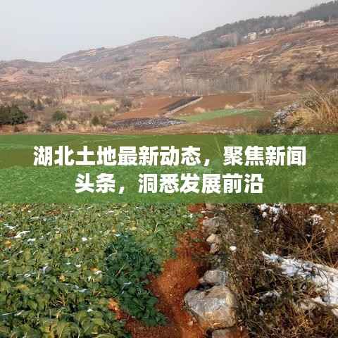 湖北土地最新动态，聚焦新闻头条，洞悉发展前沿