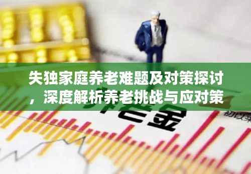 失独家庭养老难题及对策探讨，深度解析养老挑战与应对策略