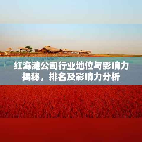 红海滩公司行业地位与影响力揭秘，排名及影响力分析