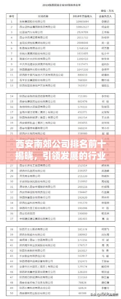 西安南郊公司排名前十揭晓，引领发展的行业巨头榜单揭秘！