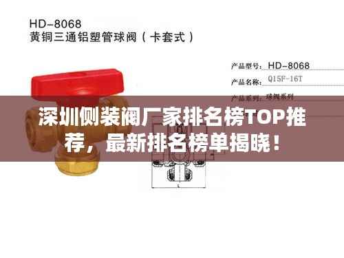 深圳侧装阀厂家排名榜TOP推荐,最新排名榜单揭晓!
