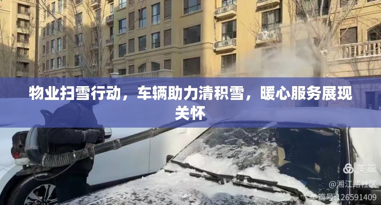 物业扫雪行动，车辆助力清积雪，暖心服务展现关怀
