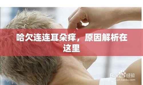 哈欠连连耳朵痒，原因解析在这里