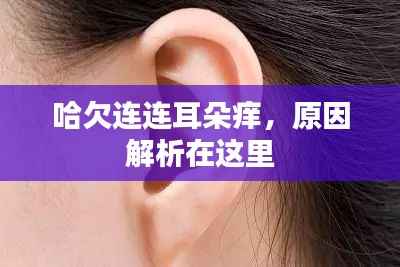 哈欠连连耳朵痒,原因解析在这里