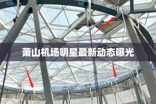 萧山机场明星最新动态曝光