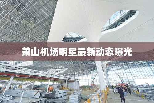 萧山机场明星最新动态曝光