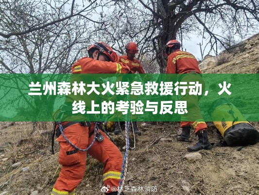 兰州森林大火紧急救援行动,火线上的考验与反思