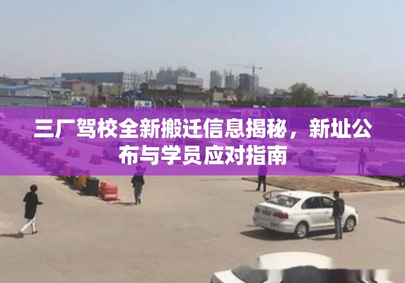 打张鸡儿 第4页