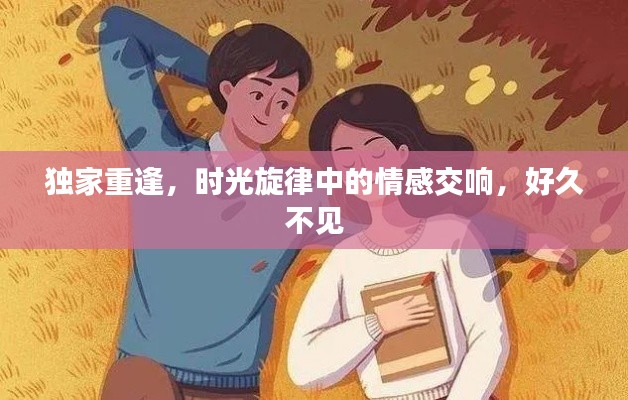 独家重逢，时光旋律中的情感交响，好久不见