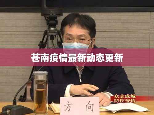 苍南疫情最新动态更新