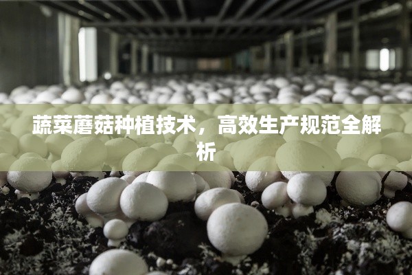 蔬菜蘑菇种植技术，高效生产规范全解析