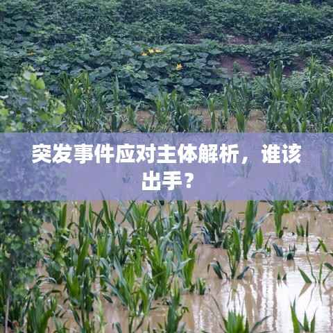 突发事件应对主体解析，谁该出手？