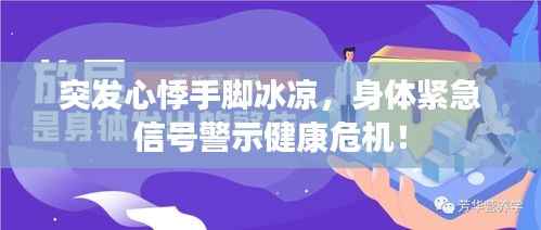 突发心悸手脚冰凉,身体紧急信号警示健康危机!