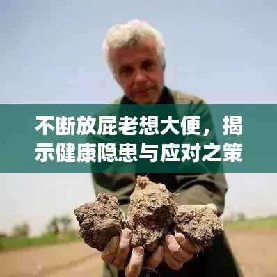 不断放屁老想大便,揭示健康隐患与应对之策