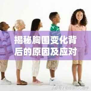 揭秘胸围变化背后的原因及应对方法，科学解析与实用建议！