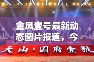 金凤壹号最新动态图片报道,今日消息一网打尽!