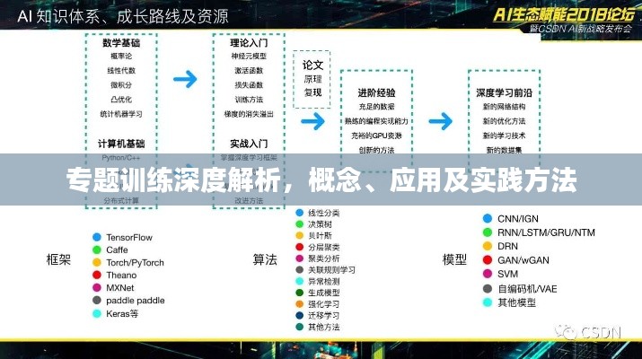 专题训练深度解析，概念、应用及实践方法