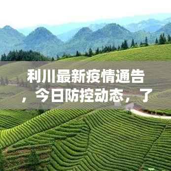 利川最新疫情通告，今日防控动态，了解最新进展！