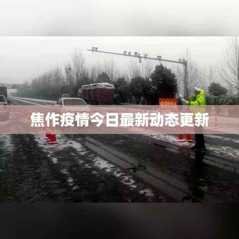 焦作疫情今日最新动态更新