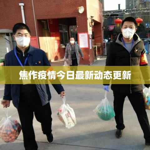 焦作疫情今日最新动态更新