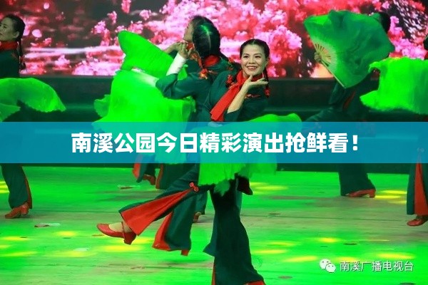 南溪公园今日精彩演出抢鲜看!