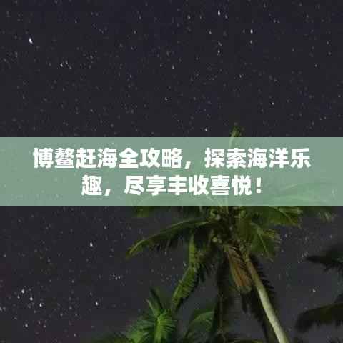 博鳌赶海全攻略，探索海洋乐趣，尽享丰收喜悦！