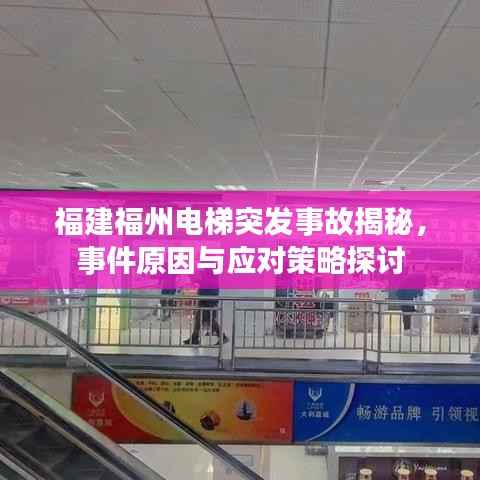 鸟语蝉鸣 第3页