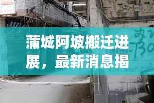 蒲城阿坡搬迁进展，最新消息揭秘