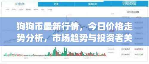 狗狗币最新行情，今日价格走势分析，市场趋势与投资者关注热点