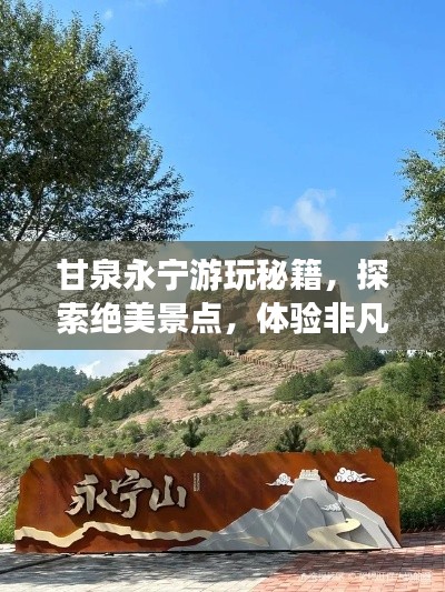 物稀为贵 第4页