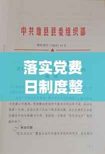 落实党费日制度整改，深化党的组织建设，筑牢基层战斗堡垒