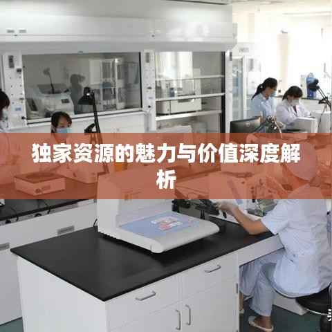 独家资源的魅力与价值深度解析