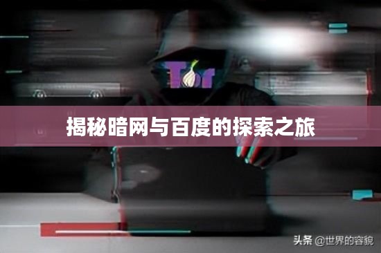 揭秘暗网与百度的探索之旅