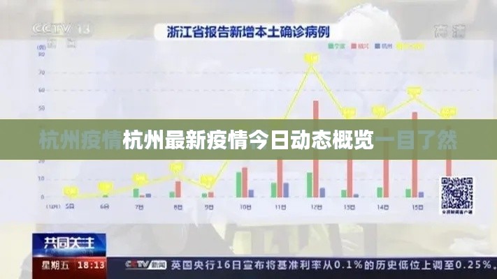 杭州最新疫情今日动态概览